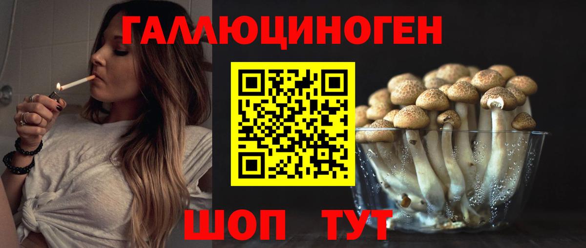 Ипатово  Галлюциногенные грибы мицелий  Вход с VPN 